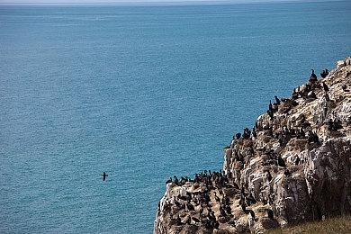 Steam测试支持4K和超宽屏显示器格式游戏视频录制